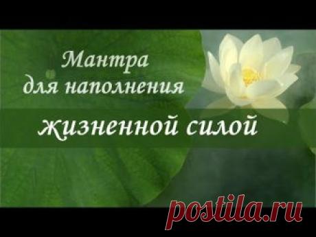 Мантра ЖИЗНЕННОЙ СИЛЫ✦ ИСЦЕЛЕНИЯ✦ ДУШЕВНОГО ПОКОЯ
