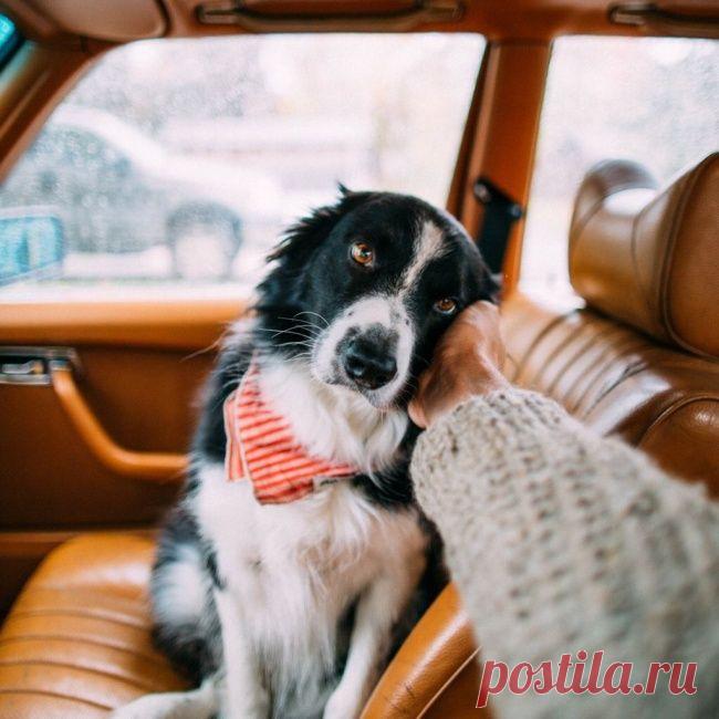 Попробуйте посмотреть этот пост и ни разу не улыбнуться