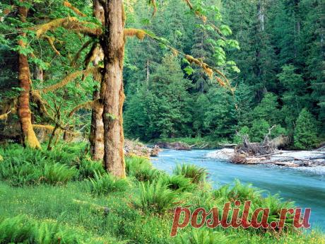 Новые фотографии природа обои.