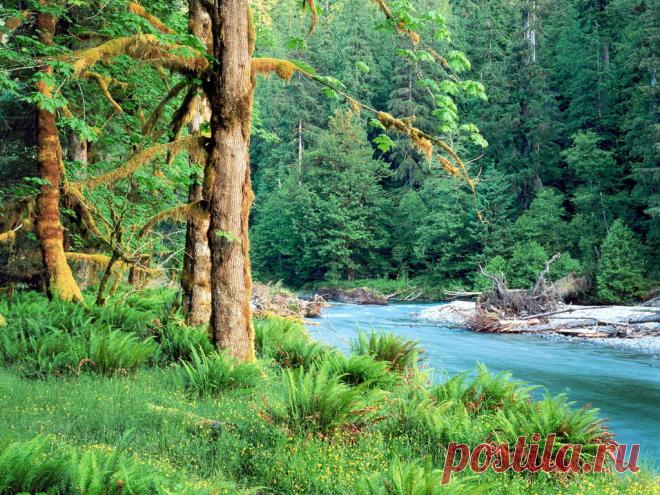 Новые фотографии природа обои.