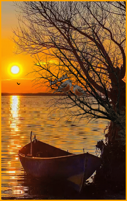 Фото – Google+