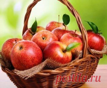 Женщины как яблоки. Самые вкусные висят на самой макушке дерева. Многие мужчины не хотят лезть на дерево за вкусными яблоками, потому что они боятся упасть и удариться. Вместо этого они собирают упавшие яблоки с земли, которые не так хороши, но зато доступны. Поэтому яблоки на макушке думают, что с ними что то не так, хотя на самом деле они великолепны. Им просто нужно дождаться того человека, который не побоится залезть на макушку дерева.