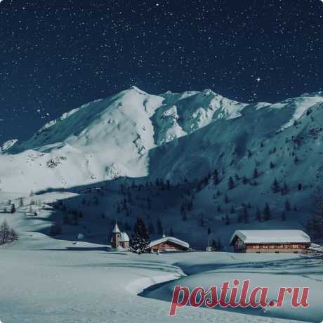 Живая природа