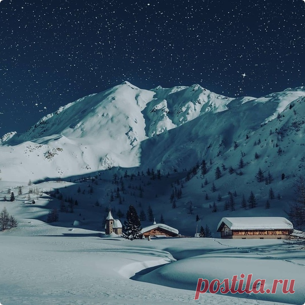 Живая природа