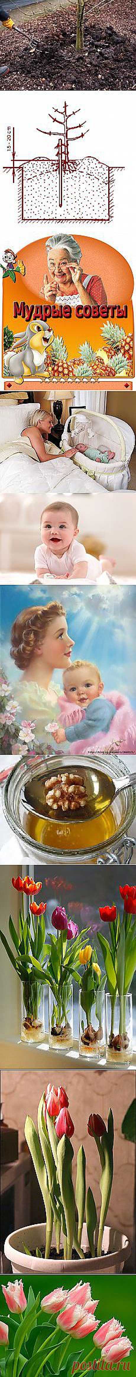 Людмила Николаенко: А я и не знала.... | Постила.ru