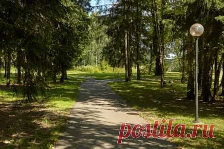 Клиенты отеля, где убили Киву, хвалят его за живописную зону для прогулок. Бывший нардеп каждый вечер выходил на прогулку.