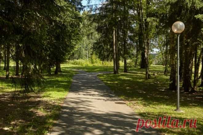 Клиенты отеля, где убили Киву, хвалят его за живописную зону для прогулок. Бывший нардеп каждый вечер выходил на прогулку.