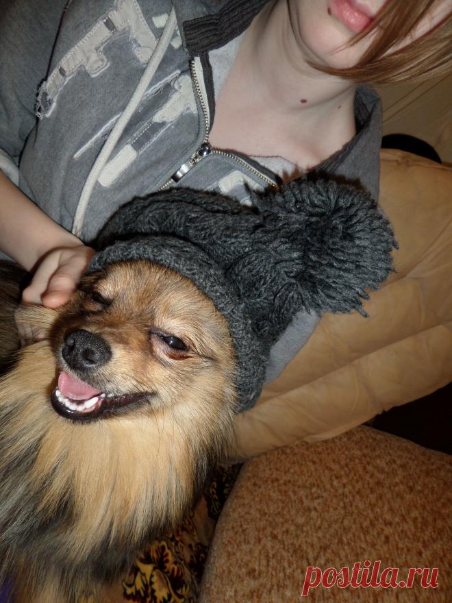 я же говорю,что любая шапочка к лицу