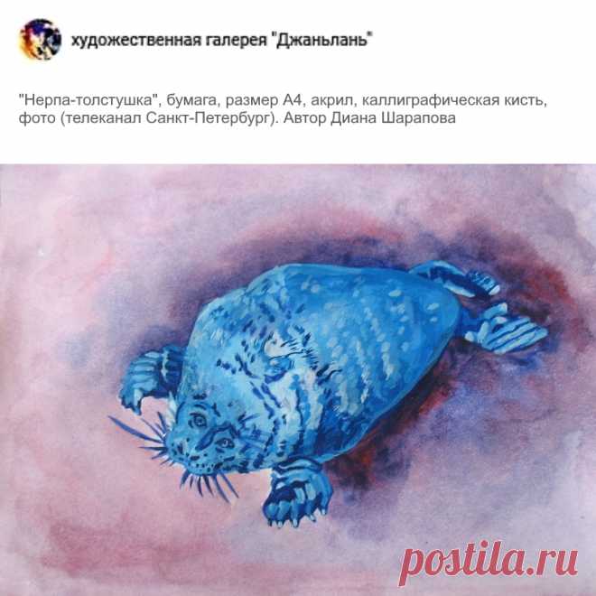 нерпа