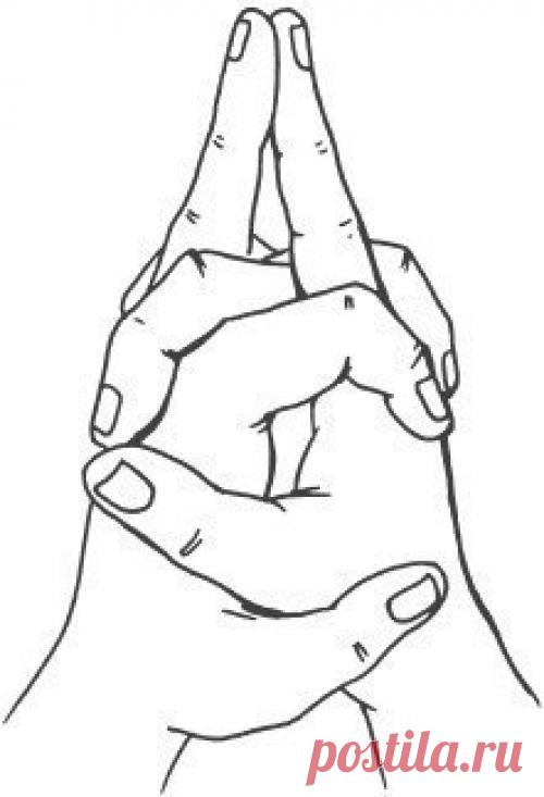 Зарядка для поджелудочной железы. | Здоровое питание