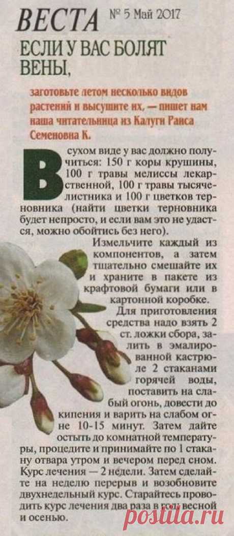 Если у вас болят вены