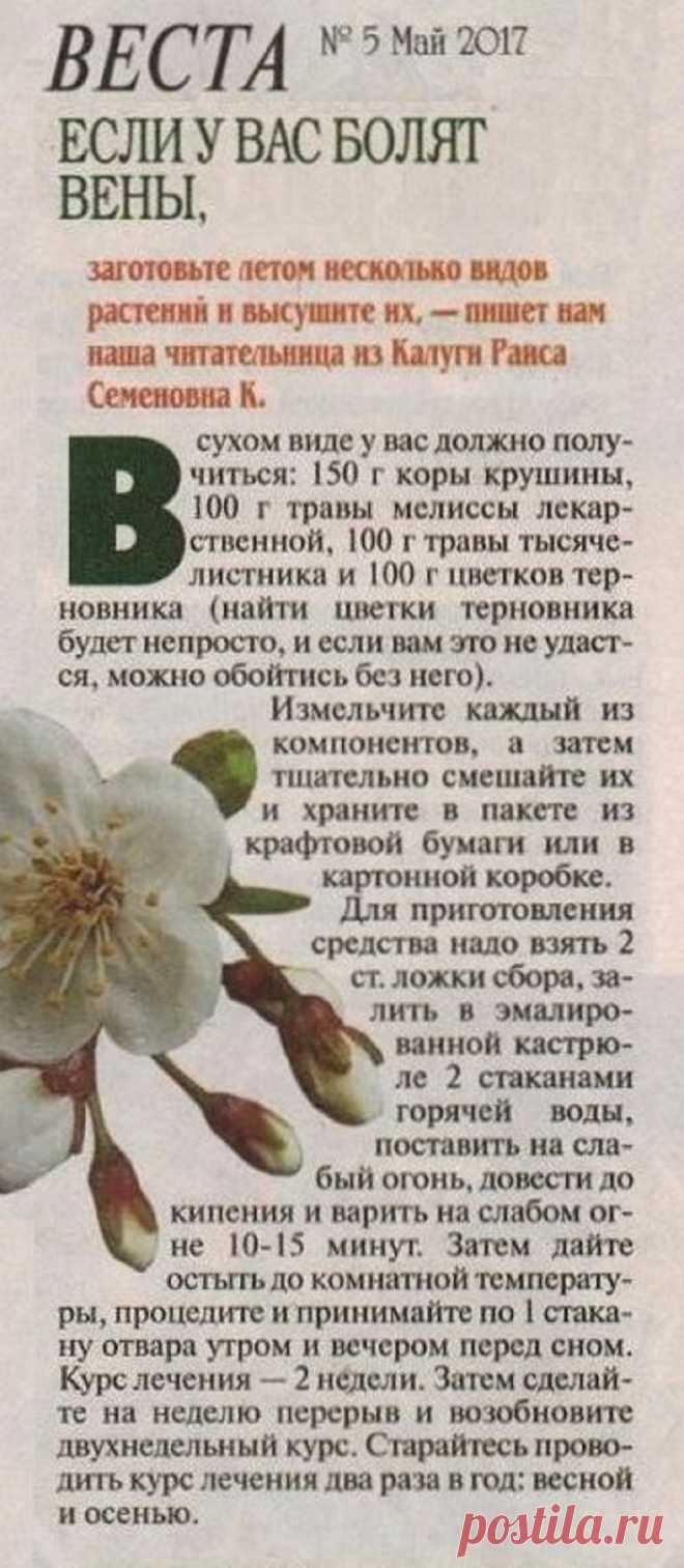 Если у вас болят вены