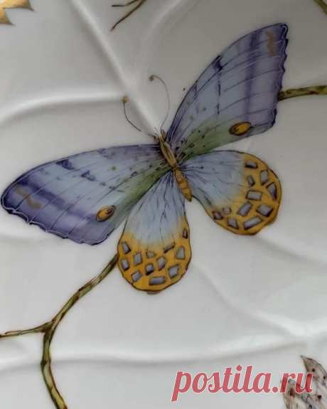 Dies enthält ein Bild von: Anna Weatherley Designs