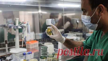 Президент Замбии призвал горожан уходить в деревни из-за холеры. Президент Замбии Хакаинде Хичилема заявил, что жители городов должны временно переместиться в сельскую местность, чтобы снизить темпы распространения холеры в стране. Об этом сообщает "Би-би-си". "В сельских районах ...