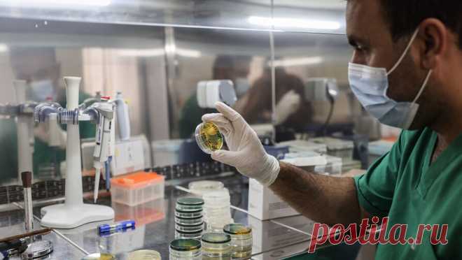 Президент Замбии призвал горожан уходить в деревни из-за холеры. Президент Замбии Хакаинде Хичилема заявил, что жители городов должны временно переместиться в сельскую местность, чтобы снизить темпы распространения холеры в стране. Об этом сообщает "Би-би-си". "В сельских районах ...