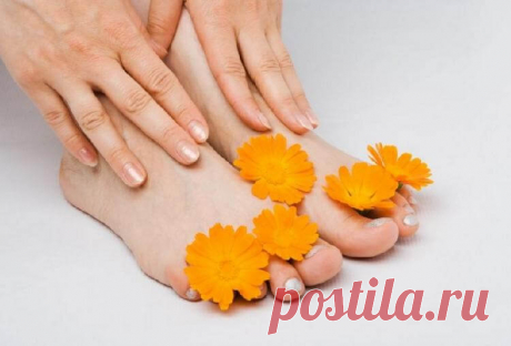 8 лучших народных и медицинских средств для лечения грибка ногтей на ногах — Лайм