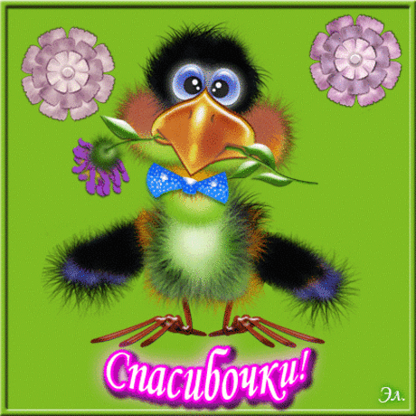 Ворон с синим бантом » Пожелания | Поздравления | Знаки внимания | Анимации