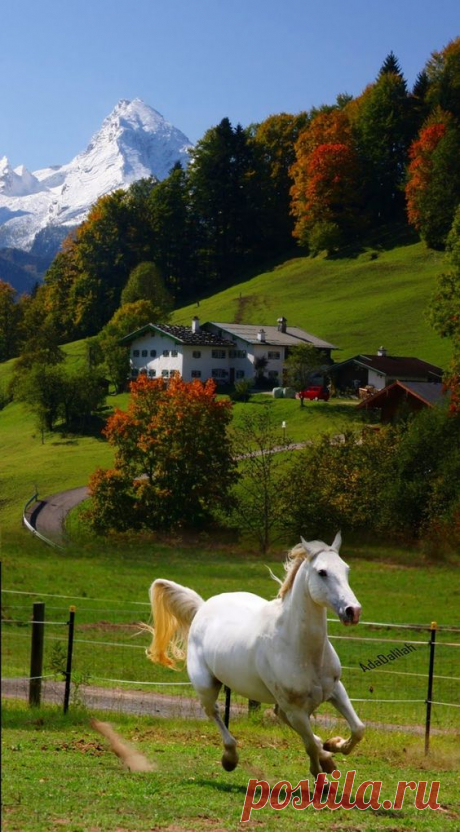 Pinterest (Pin) (157)