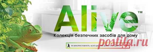NEW!! NEW!!! ALIVE -серия по уходу за домом.