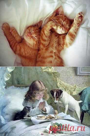 Одноклассники