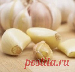 ИЗБАВЛЯЕМ СВОЙ ОРГАНИЗМ ОТ ТЯЖЁЛЫХ МЕТАЛЛОВ, ПЕСТИЦИДОВ, МЕТАБОЛИЧЕСКИХ ОТХОДОВ И ДРУГИХ ЗАГРЯЗНИТЕЛЕЙ | Golbis