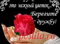 (99) Одноклассники