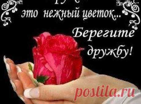 (99) Одноклассники