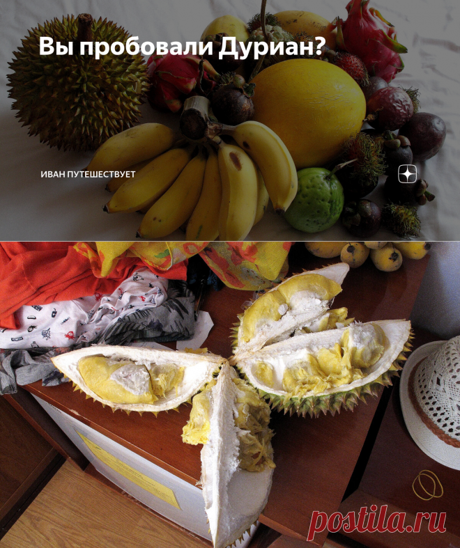 Вы пробовали Дуриан? | Иван Путешествует | Яндекс Дзен