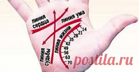 Научись гадать по руке самостоятельно! Цыганка не понадобится… Гадание по руке носит магический характер. Ещё в древности знали множество методов, которые помогают увидеть будущее человека по его рукам. Хиромантия (разгадывание человеческой судьбы по рукам, гадан…
