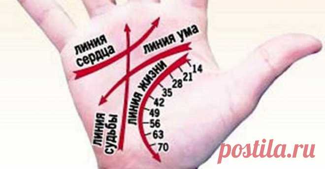 Научись гадать по руке самостоятельно! Цыганка не понадобится… Гадание по руке носит магический характер. Ещё в древности знали множество методов, которые помогают увидеть будущее человека по его рукам. Хиромантия (разгадывание человеческой судьбы по рукам, гадание по руке) определяет характер, важные случаи из жизни человека, его мировоззрение,...