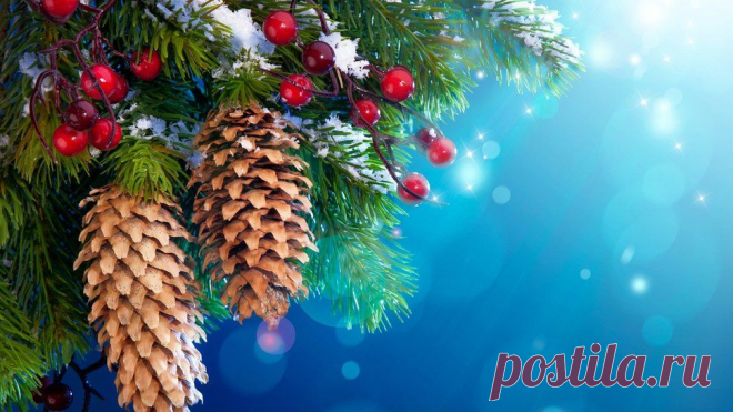 ветки, ягоды, снег, украшения, дерево вектор - ForWallpaper.com