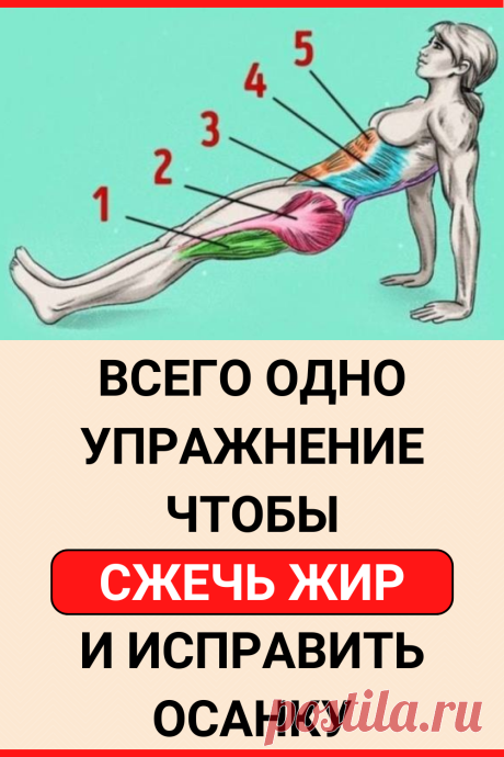 Всего одно упражнение, чтобы сжечь жир и исправить осанку
#похудение #упражнение #HIIT #как_похудеть #похудеть #похудеть_быстро #убрать жир с живота #советы по похудению #плоский живот #тренировки для похудения
