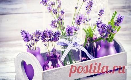 Моё настроение&gt;Весеннее...