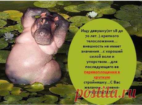 Хотите худеть? Но всё  ещё  думаете??? Ждёте ближайшего понедельника???А может быть стоит просто начать??? Прими решение и приходи к нам в  среду. Мы начинаем 16 апреля,в 22.00 мск.!!!Первое занятие открытое.Это ссылка на мой  мини-сайт https://6.ak-pitaniya.com/
откуда Вы сможете зайти на занятие. Для посещения  занятия необходимо: 1) Ввести свое имя и фамилию, 2) Нажать кнопку &quot;ВХОД&quot;С уважением, тренер по питанию Лайне Тсопп