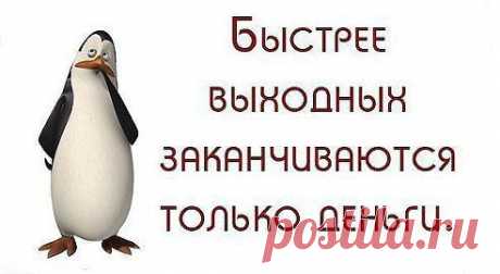 Я не леди. Какая жалость.Ни грамма дамы.