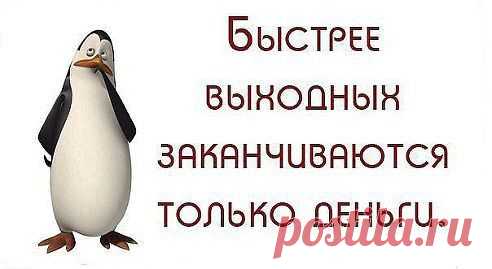 Я не леди. Какая жалость.Ни грамма дамы.