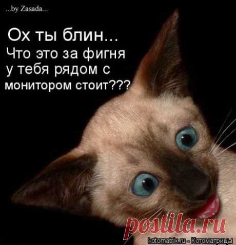 Николай Горюшин