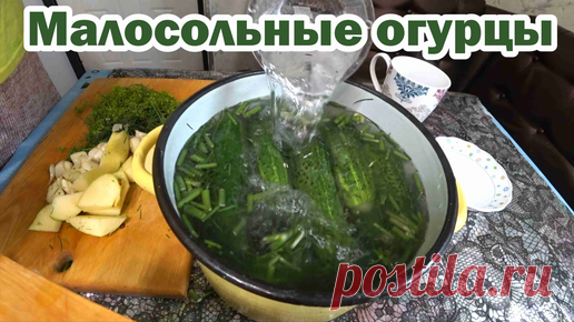 Рецепт малосольных огурцов | Дела Хозяйские | Дзен