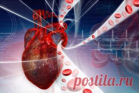 «Золотое молоко» и исцеляющий комплекс «Феникс» для укрепления стенок сосудов, при застое венозной крови, лимфадените… — Копилочка полезных советов