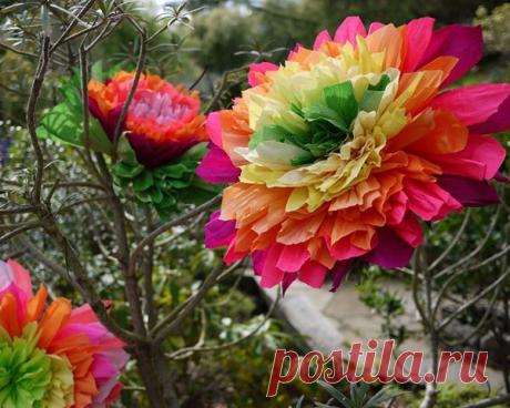 👌 Поделки из гофрированной бумаги, увлечения и хобби Я с детства люблю гофрированную бумагу и вообще всё гофрированное)) Помню, у меня были чудесные ленты такой выделки. Мне их дарила крёстная. Поэтому в школу я всегда ходила с краси...