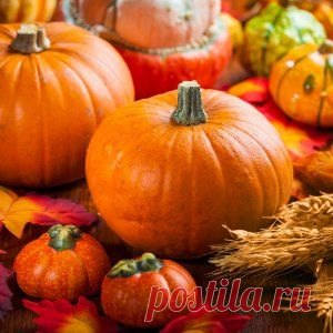 10 фактов о тыкве