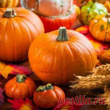 10 фактов о тыкве