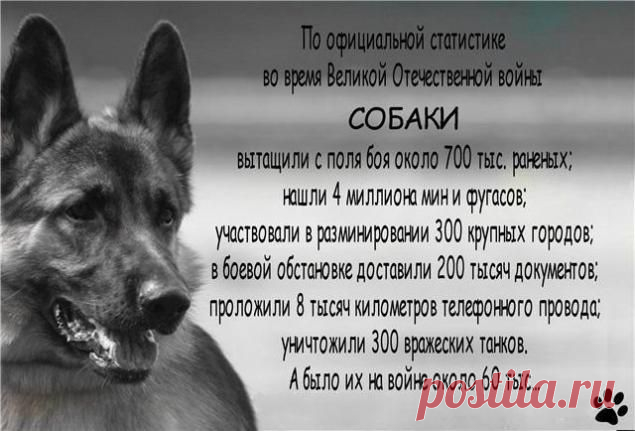 Однажды, в блокадном Ленинграде... | ЖЕНСКИЙ МИР