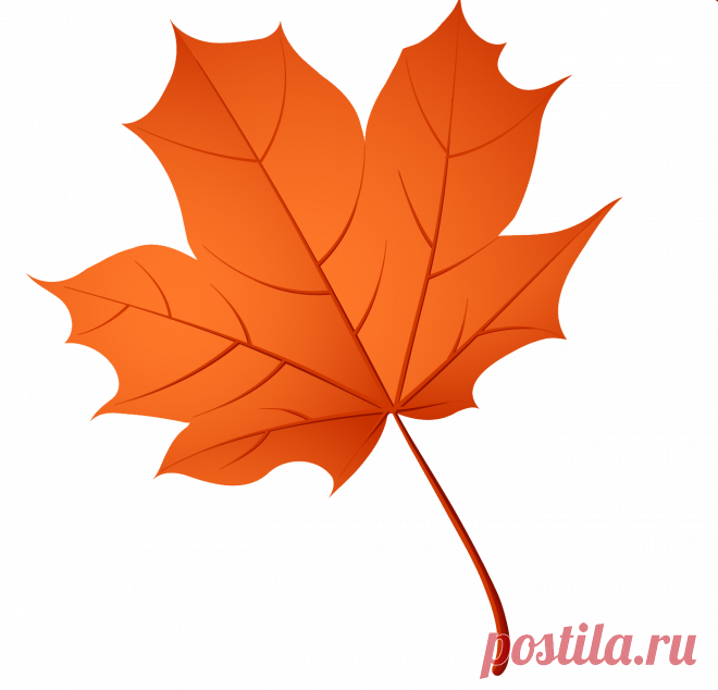 Картинка кленового листа (39 фото) ⭐ Забавник