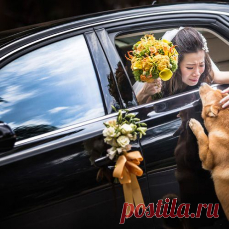 Победители международного конкурса профессиональных свадебных фотографий 2014