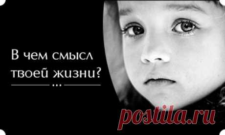 В чем смысл твоей жизни? | Велемудр