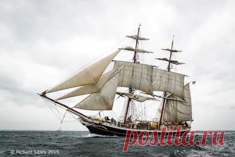 Tall Ships Belfast 2015 | Tall Ships Gallery