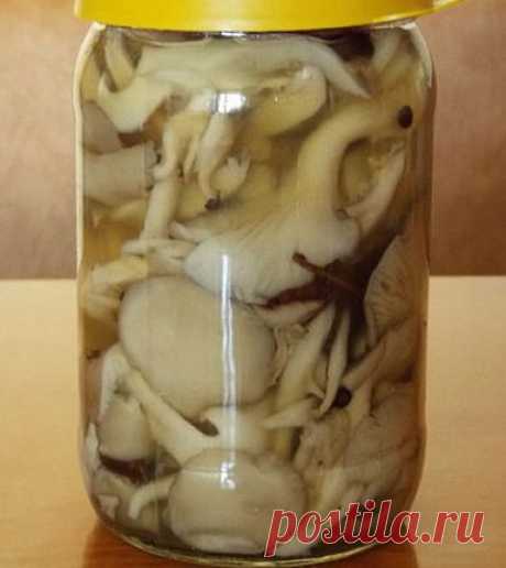 БЫСТРЫЕ МАРИНОВАННЫЕ ВEШЕНКИ.