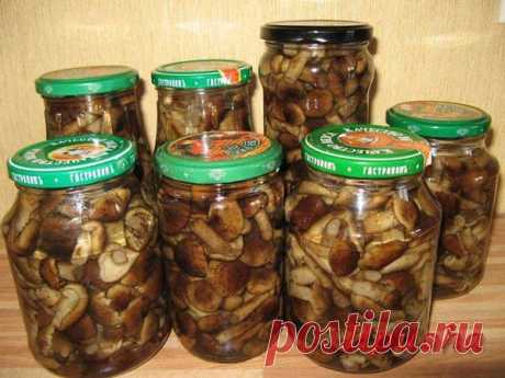 Маринованные опята (... и не только)  МАРИНАД...
