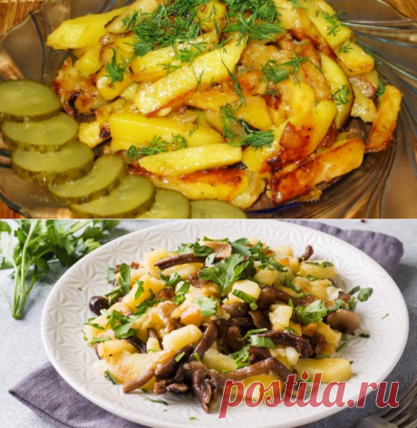 Как приготовить вкусную жареную картошку - zabaka.net